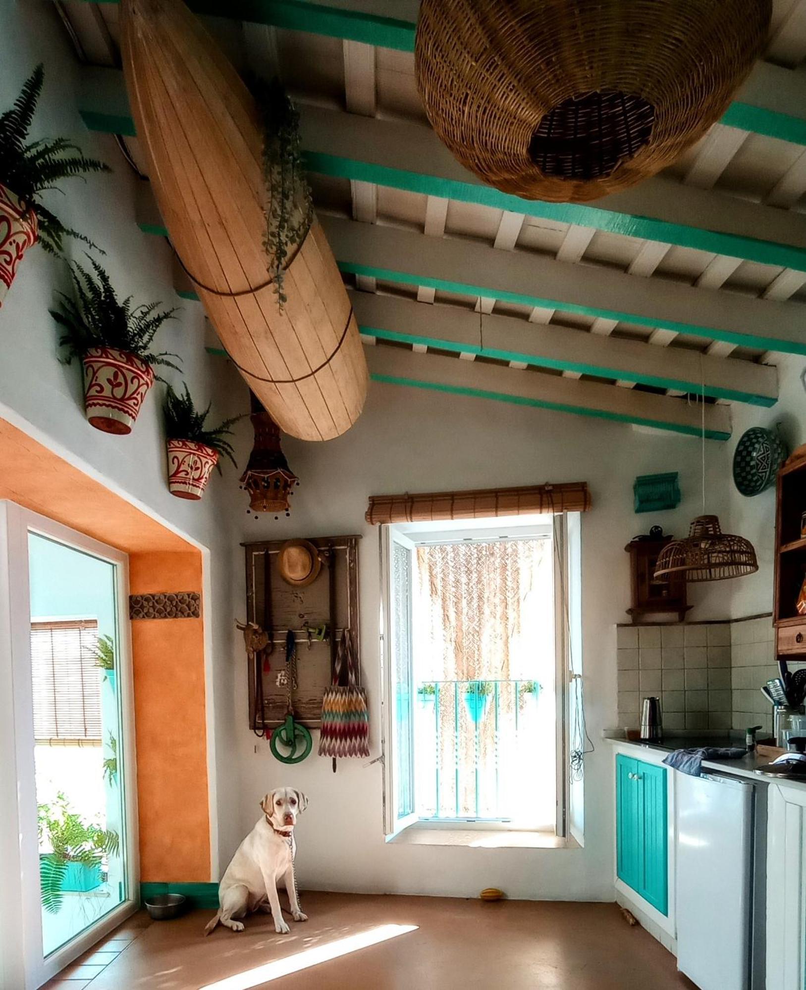 La Plaza De Conil Villa Conil De La Frontera Dış mekan fotoğraf