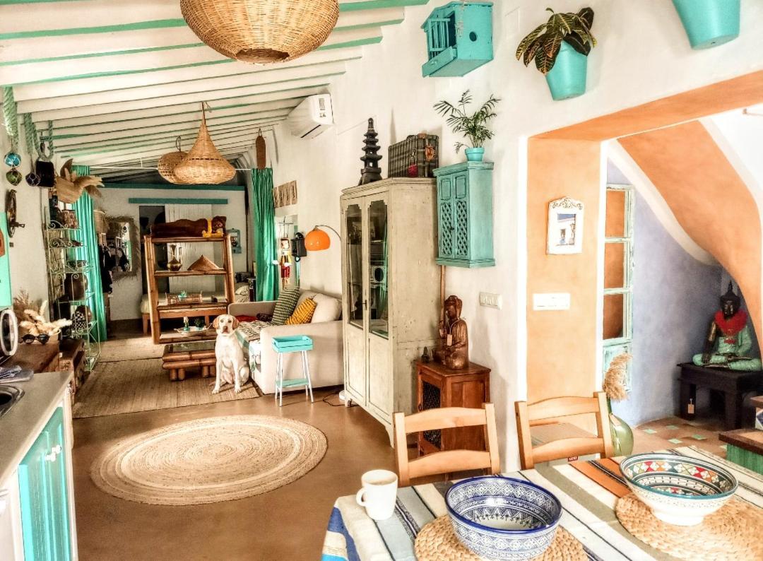La Plaza De Conil Villa Conil De La Frontera Dış mekan fotoğraf